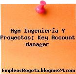 Hgm Ingeniería Y Proyectos: Key Account Manager