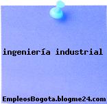 ingenieria industrial