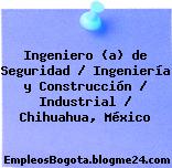 Ingeniero (a) de Seguridad / Ingeniería y Construcción / Industrial / Chihuahua, México