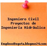 Ingeniero Civil Proyectos de Ingeniería Hidráulica