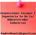 Inspecciones Ensayos E Ingenieria Sa De Cv: Administrador Industrial