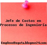 Jefe de Costos en Procesos de Ingeniería