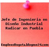 Jefe de Ingenieria en Diseño Industrial Radicar en Puebla