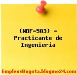 (NDF-503) – Practicante de Ingenieria
