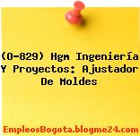 (O-829) Hgm Ingeniería Y Proyectos: Ajustador De Moldes