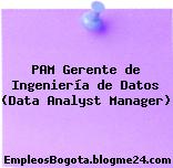PAM Gerente de Ingeniería de Datos (Data Analyst Manager)