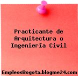 Practicante de Arquitectura o Ingeniería Civil