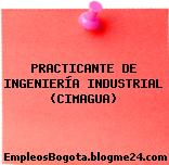 PRACTICANTE DE INGENIERÍA INDUSTRIAL (CIMAGUA)