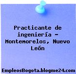 Practicante de ingeniería – Montemorelos, Nuevo León