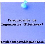 Practicante De Ingeniería (Plenimex)