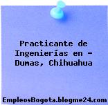 Practicante de Ingenierías en – Dumas, Chihuahua