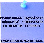 Practicante Ingeniería Industrial (INDUSTRIAS LA MESA DE TIJUANA)