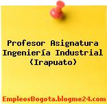 Profesor Asignatura Ingeniería Industrial (Irapuato)