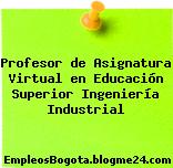 Profesor de Asignatura Virtual en Educación Superior Ingeniería Industrial