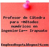Profesor de Cátedra para “Métodos numéricos en ingeniería”- Irapuato
