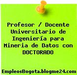 Profesor / Docente Universitario de Ingeniería para Mineria de Datos con DOCTORADO