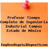 Profesor Tiempo Completo de Ingenieria Industrial Campus Estado de México