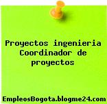 Proyectos ingenieria Coordinador de proyectos