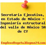 Secretaria Ejecutiva. en Estado de México – Ingeniería estructural del valle de México SA de CV