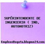 SUPÉRINTENDENTE DE INGENIERIA ( IND. AUTOMOTRIZ)