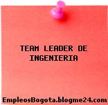 TEAM LEADER DE INGENIERIA