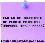TECNICO DE INGENIERIA DE PLANTA PRINCIPAL (TEMPORAL 18-24 MESES)
