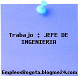 Trabajo : JEFE DE INGENIERIA