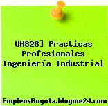 UH828] Practicas Profesionales Ingeniería Industrial