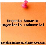 Urgente Becario Ingenieria Industrial