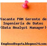 Vacante PAM Gerente de Ingeniería de Datos (Data Analyst Manager)