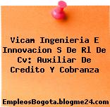 Vicam Ingenieria E Innovacion S De Rl De Cv: Auxiliar De Credito Y Cobranza