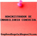 ADMINISTRADOR DE INMOBILIARIA COMERCIAL