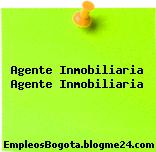 Agente Inmobiliaria Agente Inmobiliaria