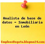 Analista de base de datos – Inmobiliaria en León