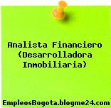 Analista Financiero (Desarrolladora Inmobiliaria)