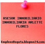 ASESOR INMOBILIARIO INMOBILIARIA ARLETTE FLORES