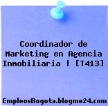 Coordinador de Marketing en Agencia Inmobiliaria | [T413]