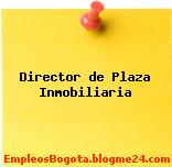 Director de Plaza Inmobiliaria