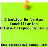 Ejcutivo De Ventas Inmobiliarias (Toluca-Metepec-Calimaya)