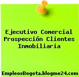 Ejecutivo Comercial Prospección Clientes Inmobiliaria