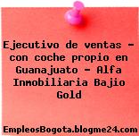 Ejecutivo de ventas – con coche propio en Guanajuato – Alfa Inmobiliaria Bajio Gold