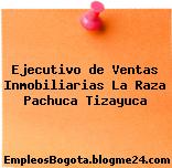 Ejecutivo de Ventas Inmobiliarias La Raza Pachuca Tizayuca