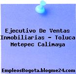 Ejecutivo de Ventas Inmobiliarias (Toluca / Metepec / Calimaya)