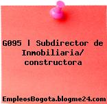 G095 | Subdirector de Inmobiliaria/ constructora