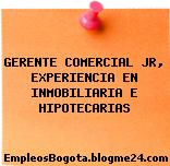 GERENTE COMERCIAL JR, EXPERIENCIA EN INMOBILIARIA E HIPOTECARIAS