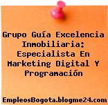 Grupo Guía Excelencia Inmobiliaria: Especialista En Marketing Digital Y Programación