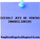 ICE281] JEFE DE VENTAS INMOBILIARIAS