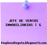 JEFE DE VENTAS INMOBILIARIAS | G
