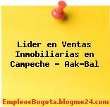 Lider en Ventas Inmobiliarias en Campeche – Aak-Bal