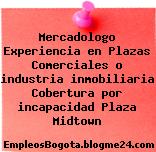 Mercadologo Experiencia en Plazas Comerciales o industria inmobiliaria Cobertura por incapacidad Plaza Midtown